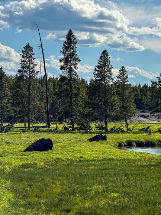 Bozeman, Montana