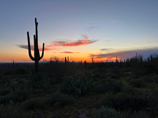 Phoenix, Arizona
