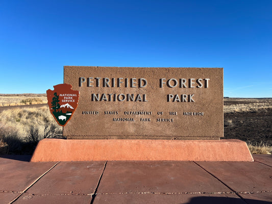 Petrified Forest National Park