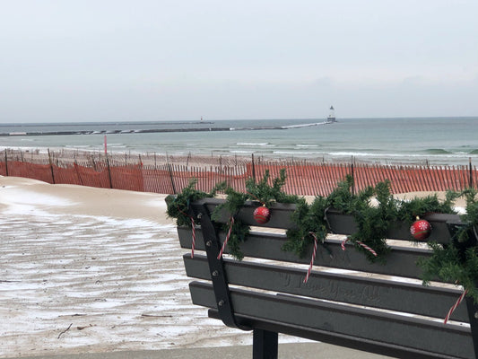 Home for the Holidays