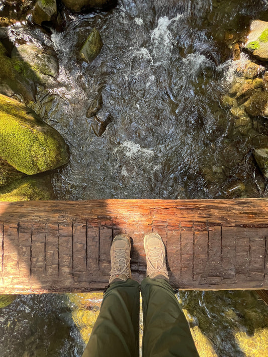 Olympic National Park